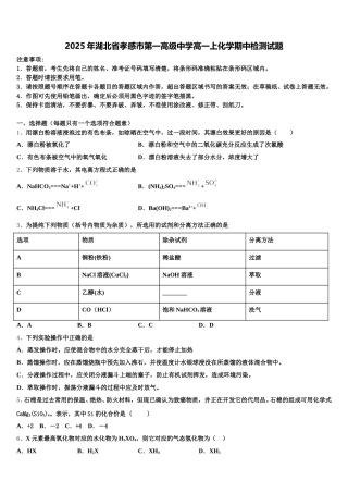 2025年湖北省孝感市第一高级中学高一上化学期中检测试题含解析