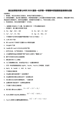湖北省枣阳市第七中学2026届高一化学第一学期期中质量跟踪监视模拟试题含解析