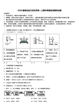 2026届湖北省三校化学高一上期中质量检测模拟试题含解析