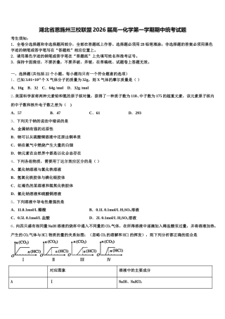 湖北省恩施州三校联盟2026届高一化学第一学期期中统考试题含解析