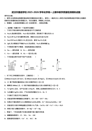 武汉外国语学校2025-2026学年化学高一上期中教学质量检测模拟试题含解析