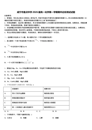 咸宁市重点中学2026届高一化学第一学期期中达标测试试题含解析