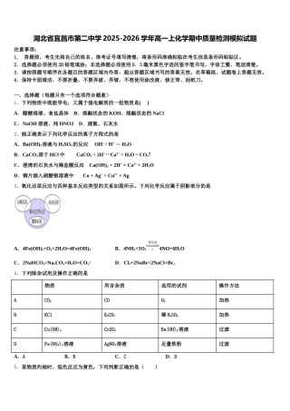 湖北省宜昌市第二中学2025-2026学年高一上化学期中质量检测模拟试题含解析