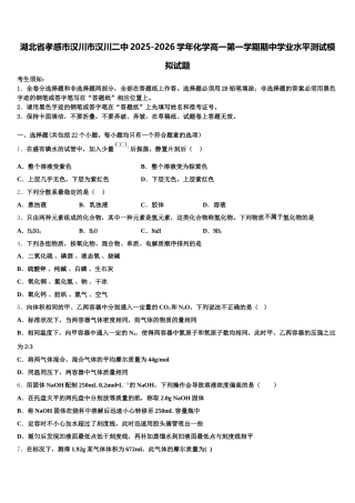 湖北省孝感市汉川市汉川二中2025-2026学年化学高一第一学期期中学业水平测试模拟试题含解析