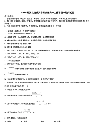 2026届湖北省武汉市新洲区高一上化学期中经典试题含解析