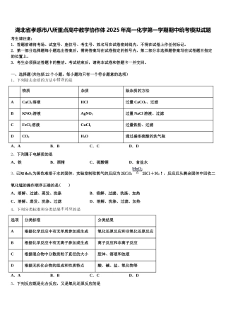 湖北省孝感市八所重点高中教学协作体2025年高一化学第一学期期中统考模拟试题含解析