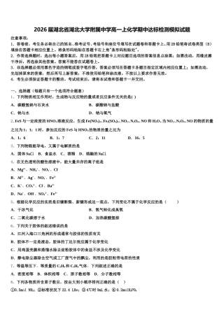 2026届湖北省湖北大学附属中学高一上化学期中达标检测模拟试题含解析