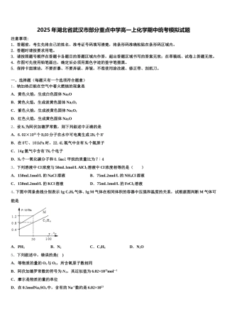 2025年湖北省武汉市部分重点中学高一上化学期中统考模拟试题含解析