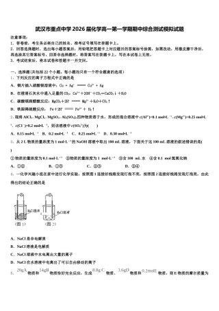 武汉市重点中学2026届化学高一第一学期期中综合测试模拟试题含解析