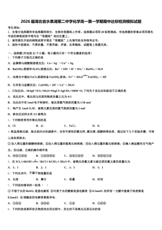 2026届湖北省水果湖第二中学化学高一第一学期期中达标检测模拟试题含解析