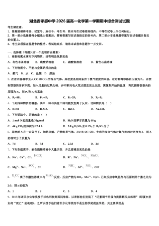 湖北省孝感中学2026届高一化学第一学期期中综合测试试题含解析