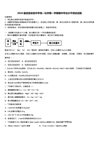2026届武昌实验中学高一化学第一学期期中学业水平测试试题含解析