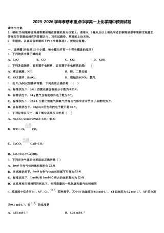 2025-2026学年孝感市重点中学高一上化学期中预测试题含解析