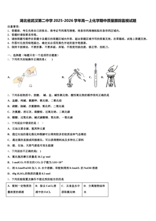 湖北省武汉第二中学2025-2026学年高一上化学期中质量跟踪监视试题含解析