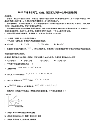 2025年湖北省天门、仙桃、潜江区化学高一上期中预测试题含解析