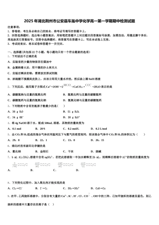 2025年湖北荆州市公安县车胤中学化学高一第一学期期中检测试题含解析