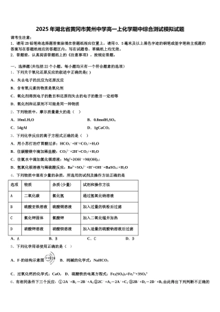 2025年湖北省黄冈市黄州中学高一上化学期中综合测试模拟试题含解析
