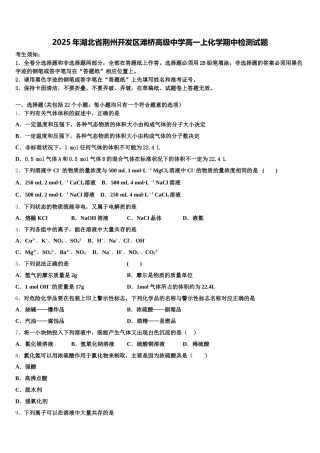 2025年湖北省荆州开发区滩桥高级中学高一上化学期中检测试题含解析