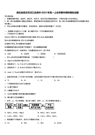 湖北省武汉市汉口北高中2025年高一上化学期中调研模拟试题含解析