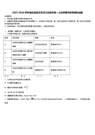 2025-2026学年湖北省武汉市汉口北高中高一上化学期中统考模拟试题含解析