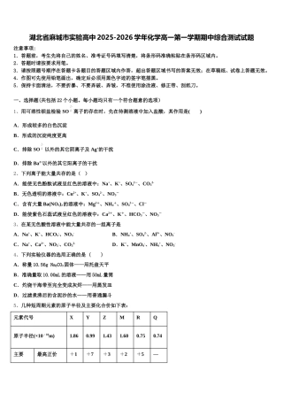 湖北省麻城市实验高中2025-2026学年化学高一第一学期期中综合测试试题含解析