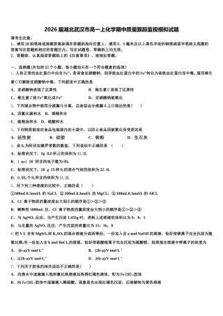 2026届湖北武汉市高一上化学期中质量跟踪监视模拟试题含解析