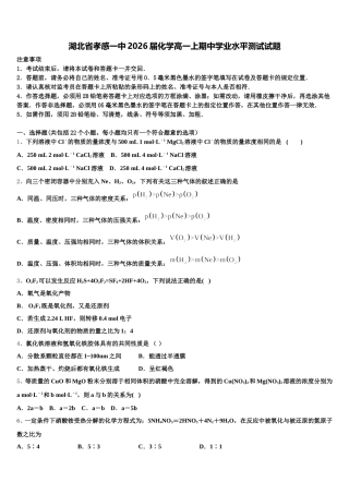 湖北省孝感一中2026届化学高一上期中学业水平测试试题含解析