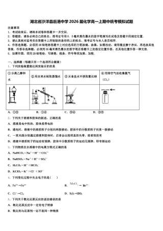 湖北省沙洋县后港中学2026届化学高一上期中统考模拟试题含解析