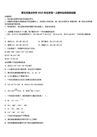 黄石市重点中学2025年化学高一上期中达标检测试题含解析
