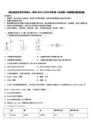 湖北省武汉市华中师大一附中2025-2026学年高一化学第一学期期中监测试题含解析