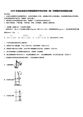 2025年湖北省武汉市钢城第四中学化学高一第一学期期中检测模拟试题含解析