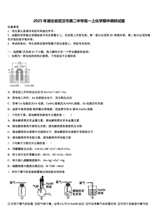 2025年湖北省武汉市第二中学高一上化学期中调研试题含解析