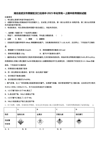 湖北省武汉市黄陂区汉口北高中2025年化学高一上期中统考模拟试题含解析