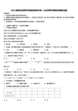 2026届湖北省黄冈市麻城实验高中高一上化学期中质量检测模拟试题含解析