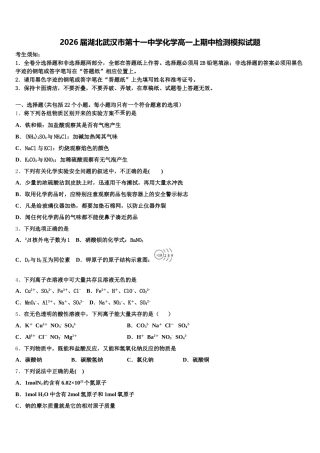 2026届湖北武汉市第十一中学化学高一上期中检测模拟试题含解析