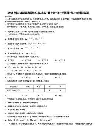 2025年湖北省武汉市黄陂区汉口北高中化学高一第一学期期中复习检测模拟试题含解析