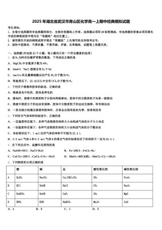 2025年湖北省武汉市青山区化学高一上期中经典模拟试题含解析