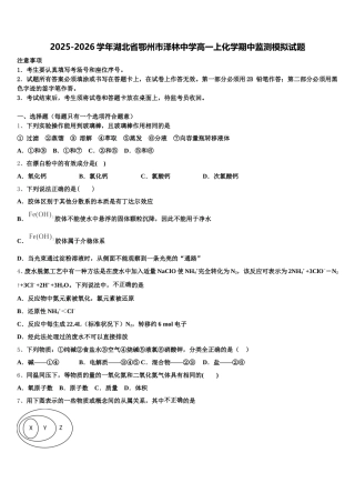 2025-2026学年湖北省鄂州市泽林中学高一上化学期中监测模拟试题含解析
