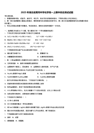 2025年湖北省黄冈中学化学高一上期中综合测试试题含解析