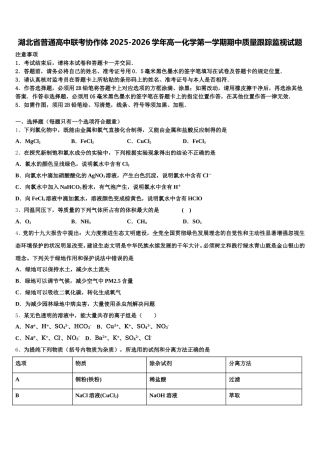 湖北省普通高中联考协作体2025-2026学年高一化学第一学期期中质量跟踪监视试题含解析