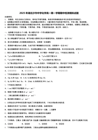 2025年湖北沙市中学化学高一第一学期期中检测模拟试题含解析