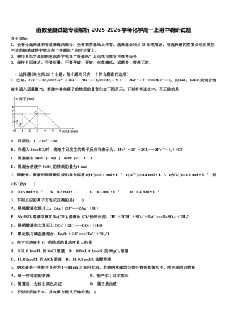 函数全真试题专项解析-2025-2026学年化学高一上期中调研试题含解析