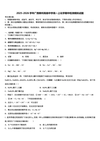 2025-2026学年广西柳州高级中学高一上化学期中检测模拟试题含解析