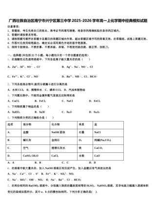 广西壮族自治区南宁市兴宁区第三中学2025-2026学年高一上化学期中经典模拟试题含解析