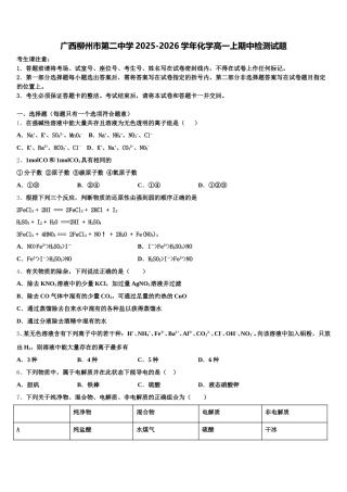 广西柳州市第二中学2025-2026学年化学高一上期中检测试题含解析