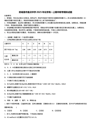 防城港市重点中学2025年化学高一上期中联考模拟试题含解析