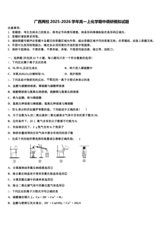 广西两校2025-2026学年高一上化学期中调研模拟试题含解析