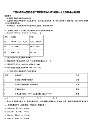 广西壮族自治区百色市广西田阳高中2025年高一上化学期中检测试题含解析