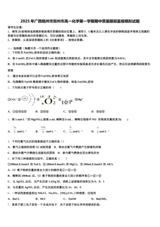 2025年广西梧州市贺州市高一化学第一学期期中质量跟踪监视模拟试题含解析