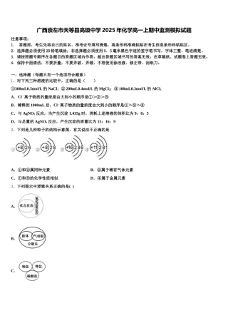 广西崇左市天等县高级中学2025年化学高一上期中监测模拟试题含解析